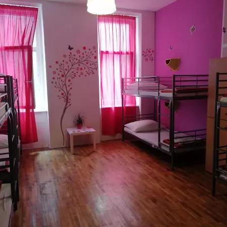 Party At Udvarom * 부다페스트