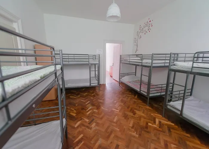 Hostel Party At Udvarom