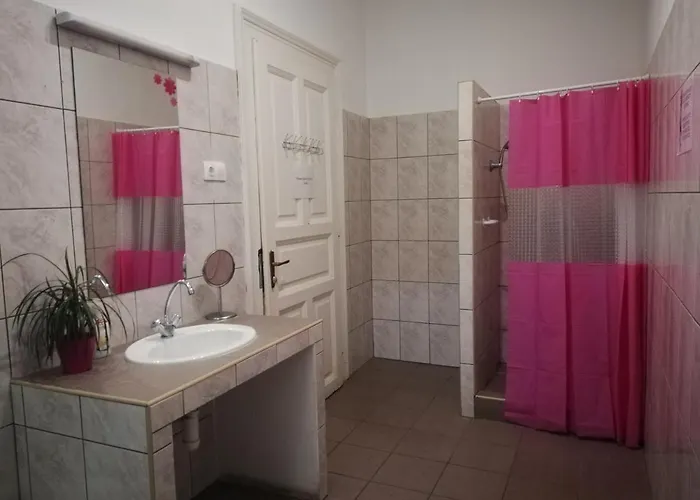 Hostel Party At Udvarom *