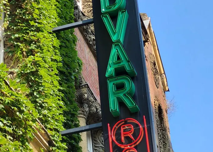 Party At Udvarom Vandrarhem Budapest