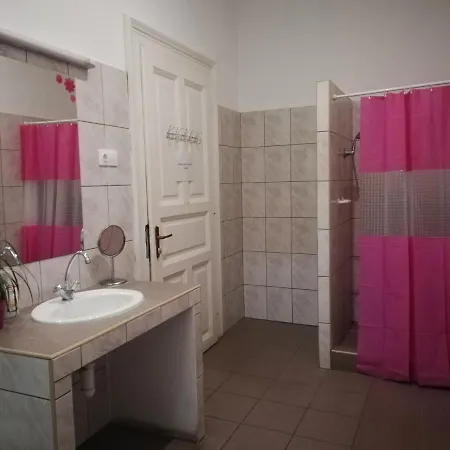 Hostel Party At Udvarom *